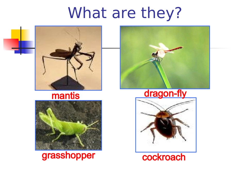 高中英语：Unit6 Friend of enemy？-reading课件(牛津上海版S1B) 课件_第2页