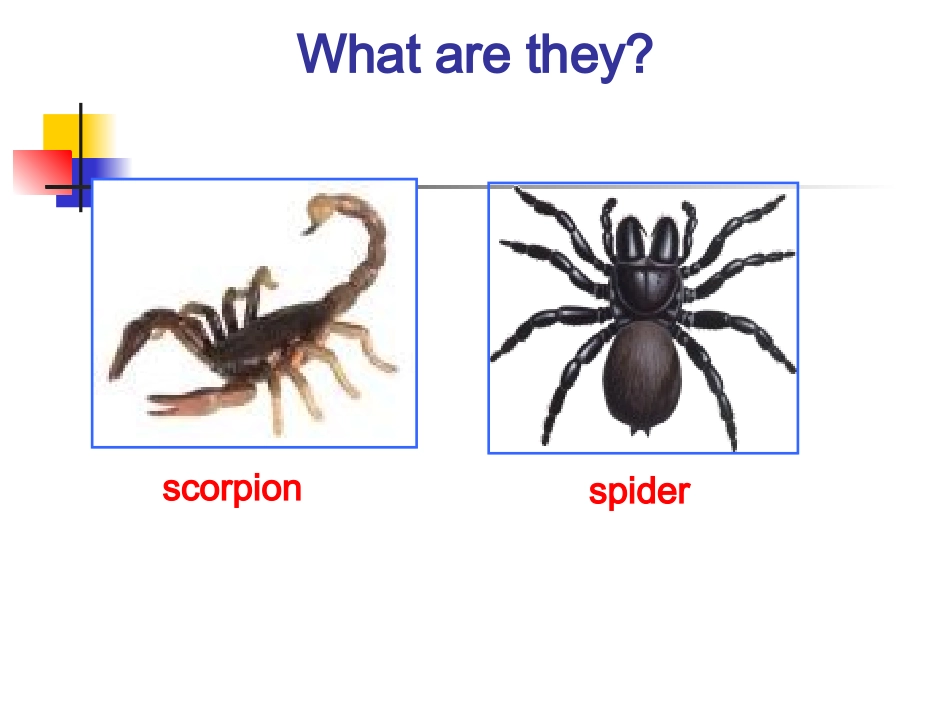 高中英语：Unit6 Friend of enemy？-reading课件(牛津上海版S1B) 课件_第3页