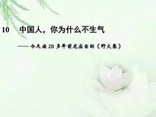 高中语文二轮复习 243 中国人，你为什么不生气(10)课件(新课标) 课件