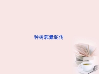 高中语文 选修大全 第六单元种树郭橐驼传精品课件 新人教版 课件
