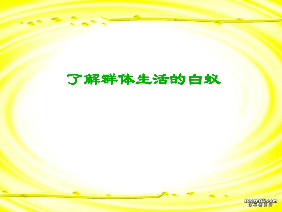 社会行为八年级生物第五单元第二章第三节 课件_第3页