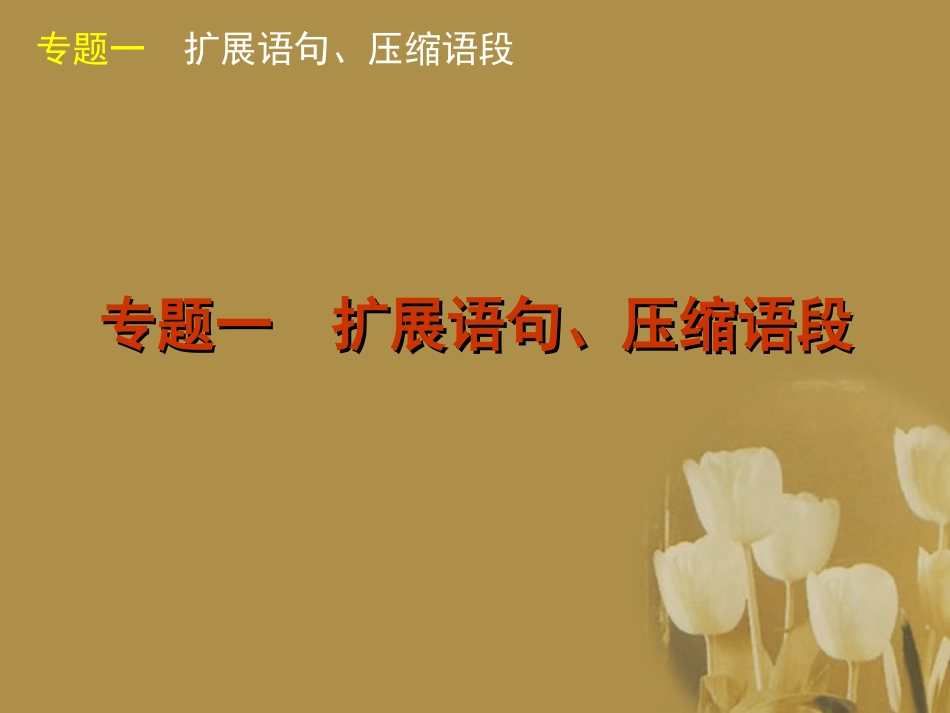 高考语文二轮复习 专题1 扩展语句、压缩语段精品课件 新课标 课件_第1页