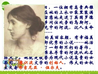 高中语文 (墙上的斑点)课件(2) 新人教版选修(外国小说欣赏) 课件