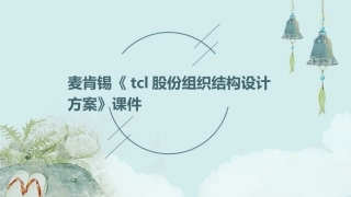 麦肯锡《TCL股份组织结构设计方案》课件