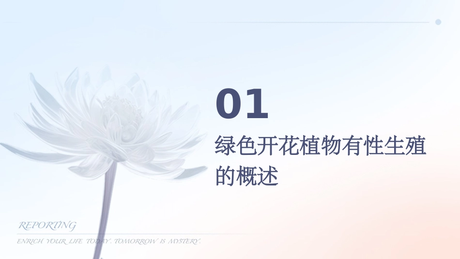 绿色开花植物的有性生殖课件_第3页