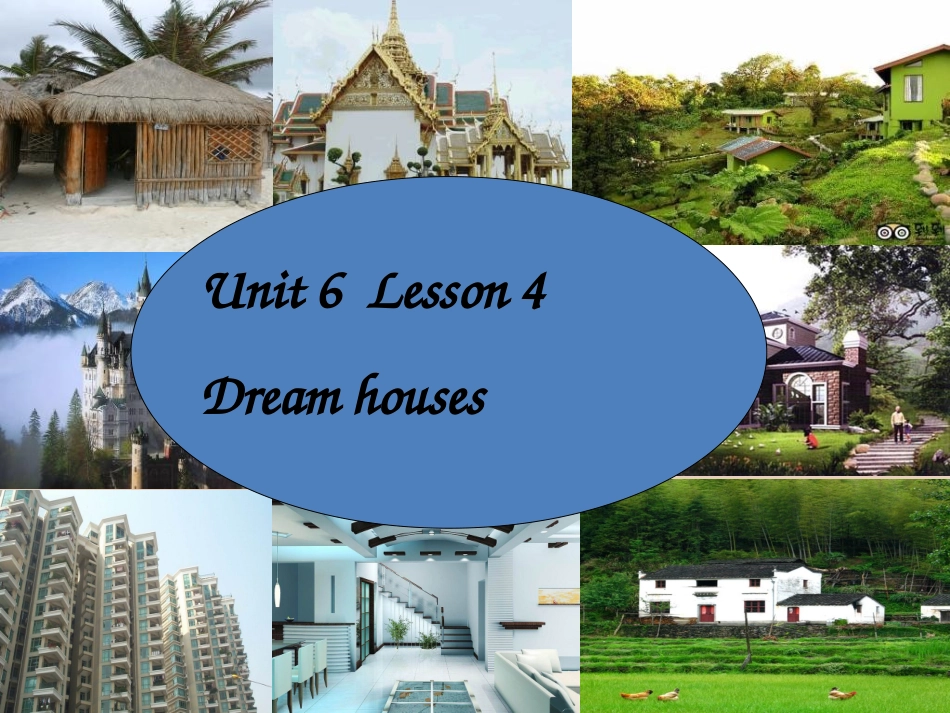 高一英语(unit 6 lesson 4 reading)课件_第2页