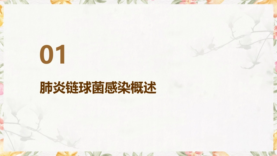 肺炎链球菌感染的预防与控制措施课件_第3页