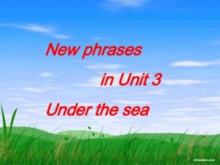 高中英语Unit 3 Under the sea-vocabularyppt 课件