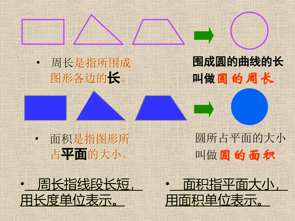 圆的面积 (4)_第3页