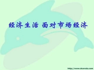 经济生活 面对市场经济 课件