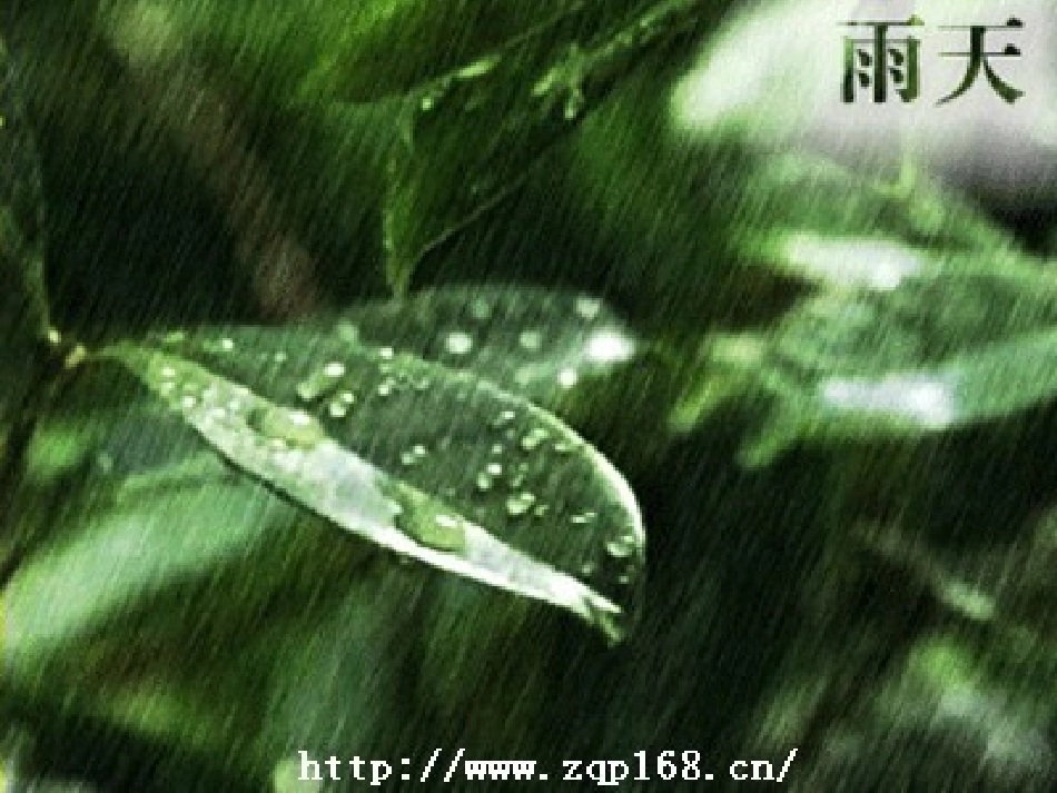 《春雨》《春晓》课件_第1页