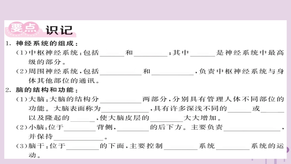 秋八年级科学上册 第三章 生命活动的调节 第3节 神经调节 第2课时 信息的处理习题课件 (新版)浙教版 课件_第3页