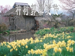 高中语文种树郭橐驼传课件新人教版选修中国现代诗歌散文欣赏 课件
