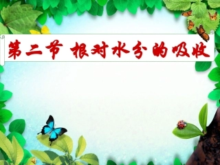 根对水分的吸收