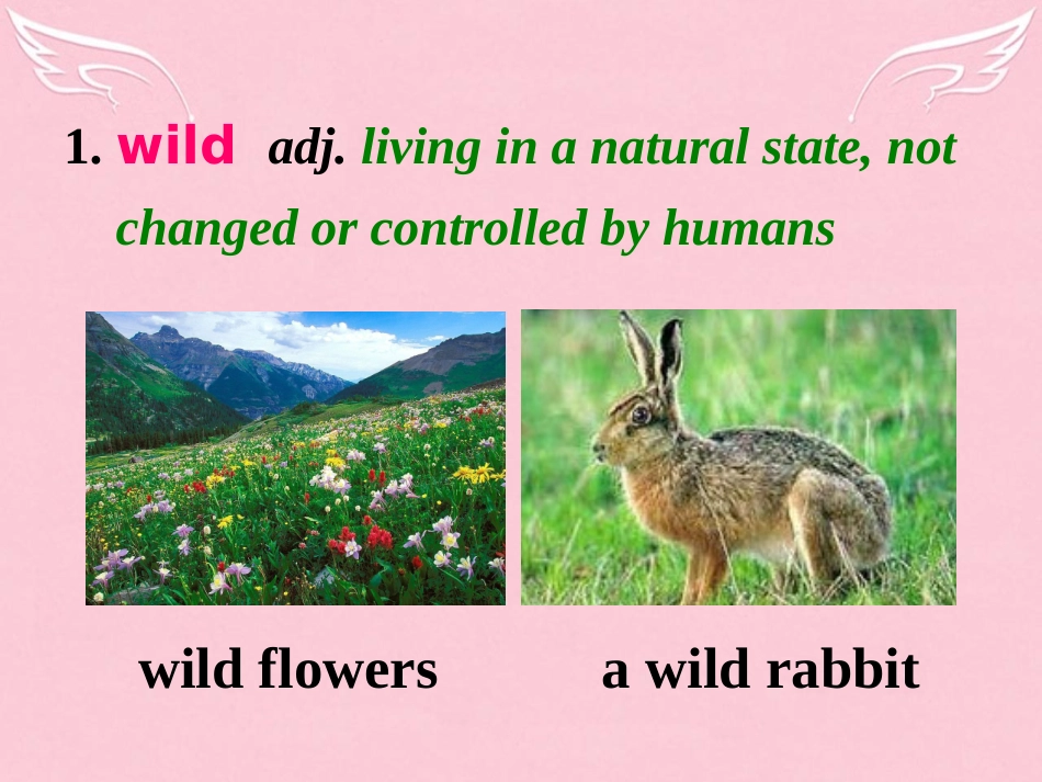 高中英语 Unit 4 Astronomy Wildlife Protection Language points课件 新人教版必修2 课件_第2页