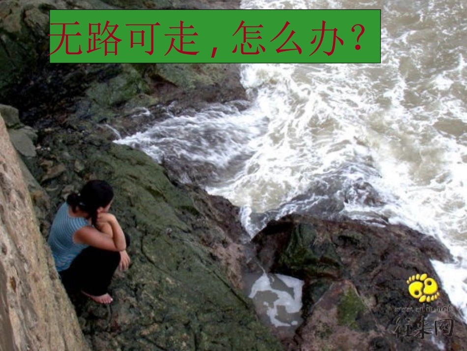 江苏地区高三语文庄子 在我们无路可走的时候课件资料 新课标 人教版 课件_第1页