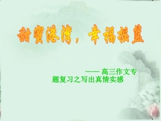 高三语文 写出真情实感作文指导作文课件 人教版 课件