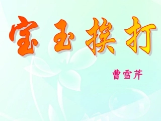 高中语文(宝玉挨打)教学课件 新人教版必修4 课件