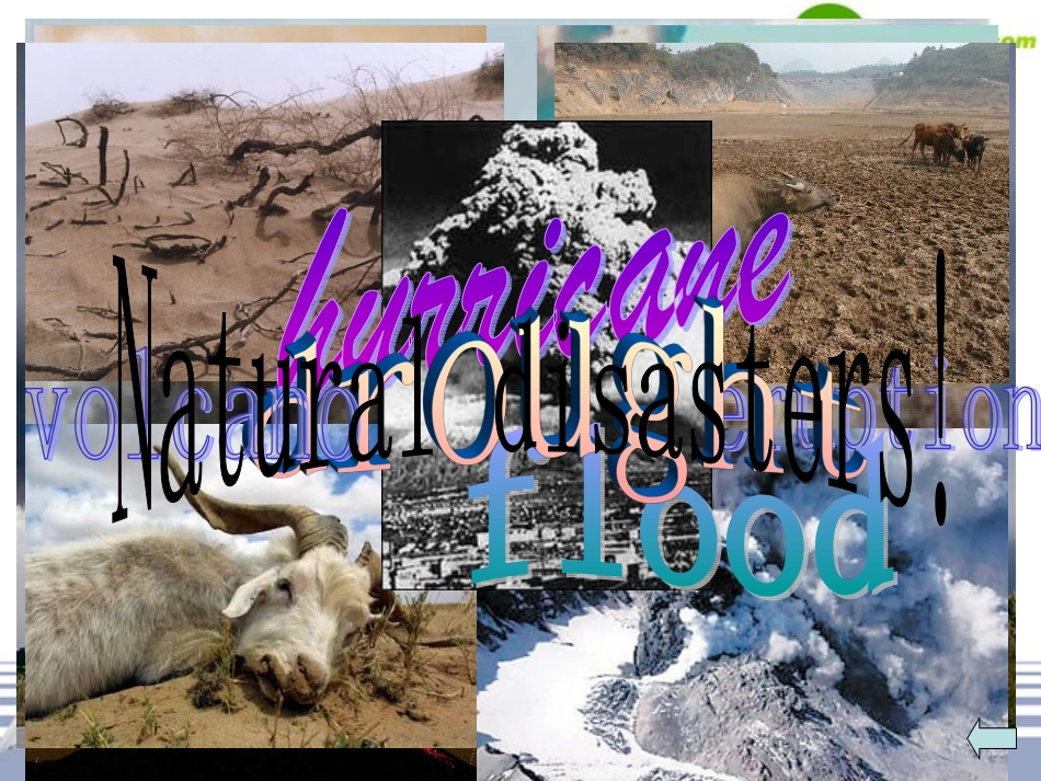 高中英语 B1 U4 Earthquakes READING 课件 新人教版必修1 课件_第3页