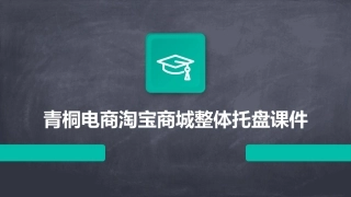 青桐电商淘宝商城整体托盘课件
