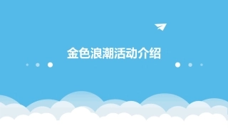 金色浪潮活动介绍课件