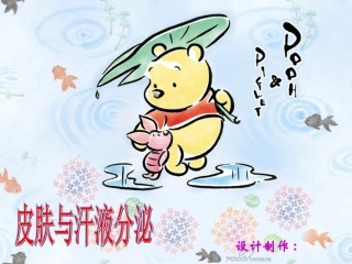 皮肤与汗液分泌 课件