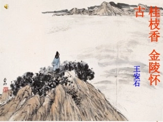 高中语文 第二单元第8课(桂枝香 金陵怀古)课件 人教版第三册 课件