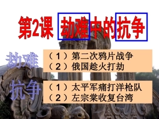 劫难中的抗争课件