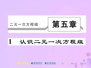 秋八年级数学上册 第五章 二元一次方程组 1 认识二元一次方程组作业课件 (新版)北师大版 课件
