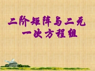 高中数学 第十一课时：二阶矩阵和二元一次方程组课件 苏教版选修4-2 课件
