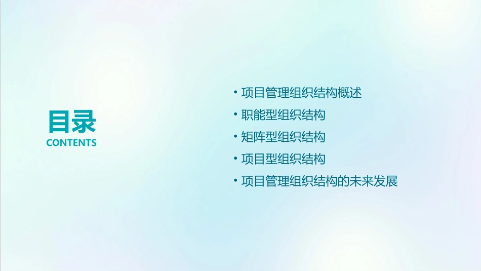 项目管理概论7(组织结构)课件_第2页