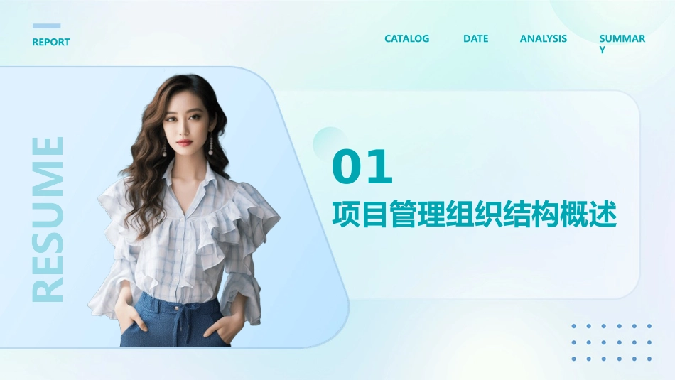 项目管理概论7(组织结构)课件_第3页