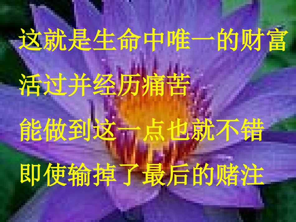 高中语文热爱生命课件1 粤教版 必修2 课件_第2页