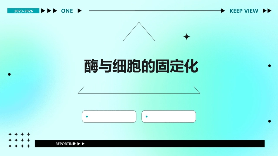 酶与细胞的固定化不考课件_第1页