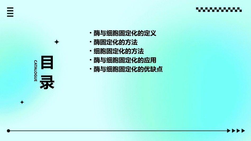 酶与细胞的固定化不考课件_第2页