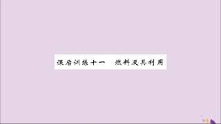 湖北省中考化学一轮复习 课后训练十一 燃料及其利用习题课件