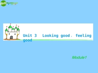 湖南省高考英语总复习 M1 Unit 3 Looking good，feeling good(2)课件 牛津版译林版 课件
