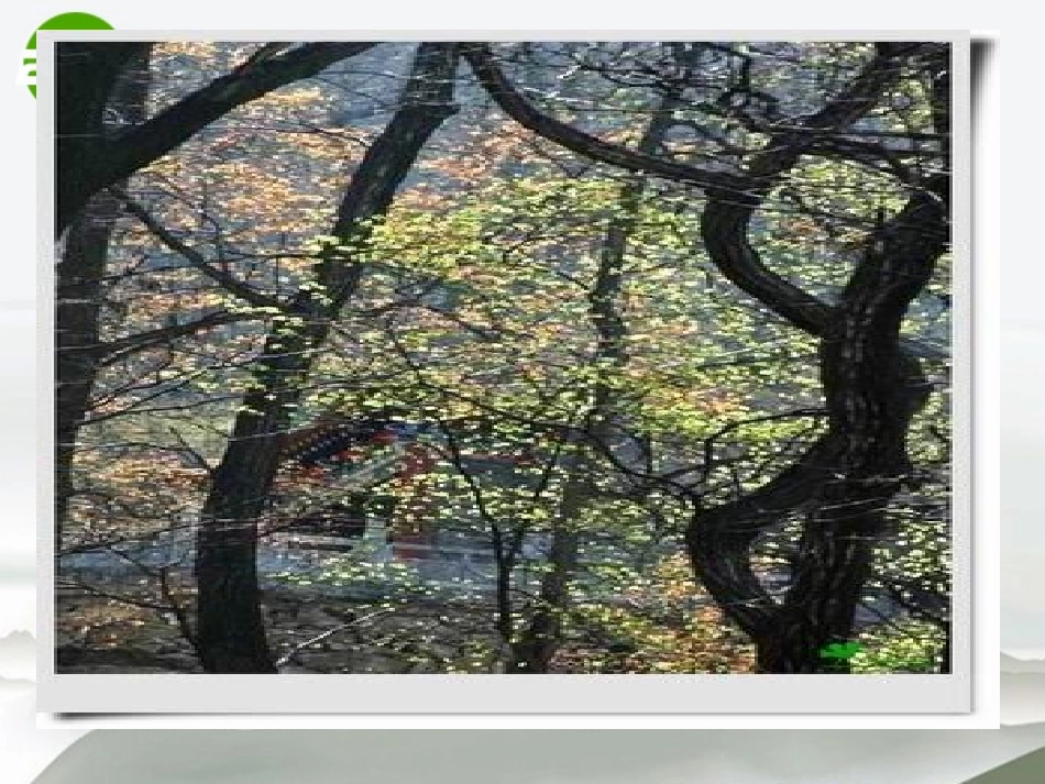 高中语文(终南山)图片素材课件 语文版必修2 课件-2_第3页