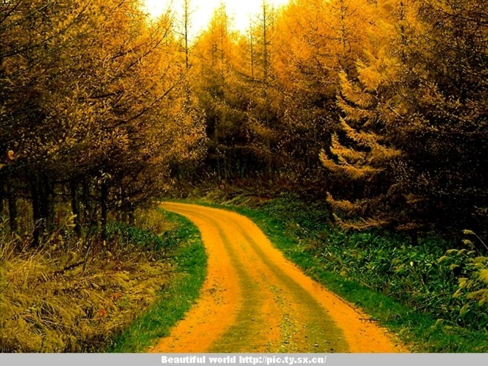 高中英语Unit1 Careers and skills Reading课件 牛津版选修11 课件_第2页