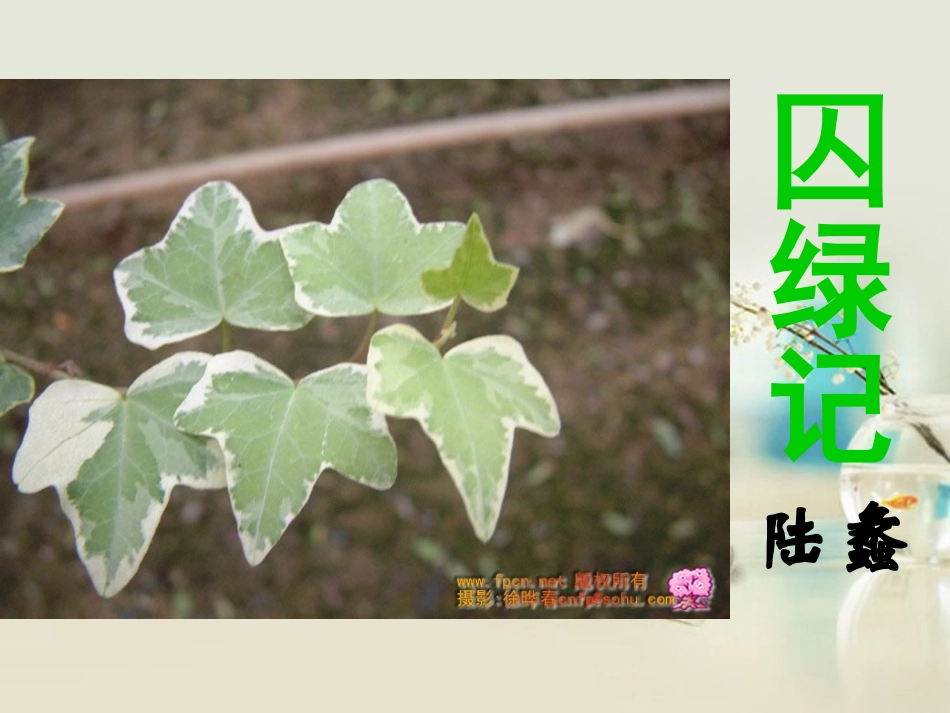 高中语文 囚绿记3课件 新人教版必修2 课件_第1页