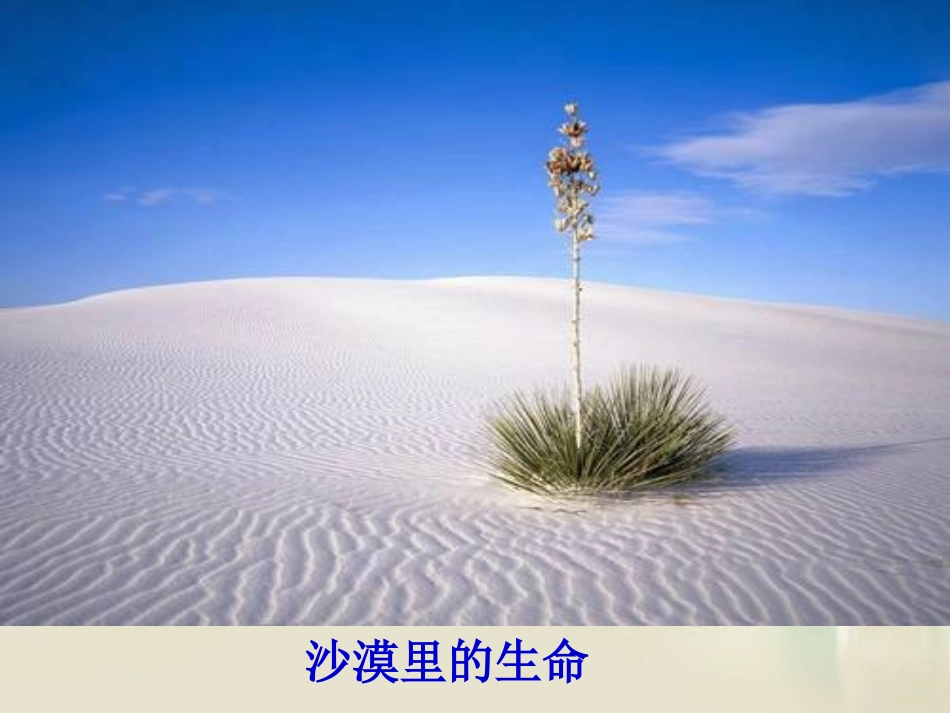 高中语文 囚绿记3课件 新人教版必修2 课件_第3页