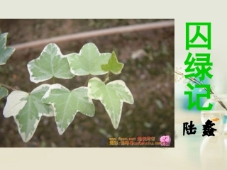 高中语文 囚绿记3课件 新人教版必修2 课件