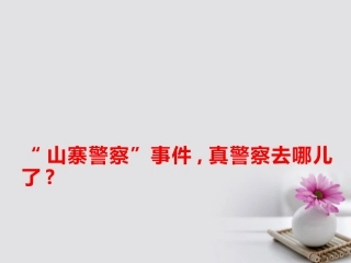 高考语文作文备考素材 山寨警察 事件真警察去哪儿了 素材