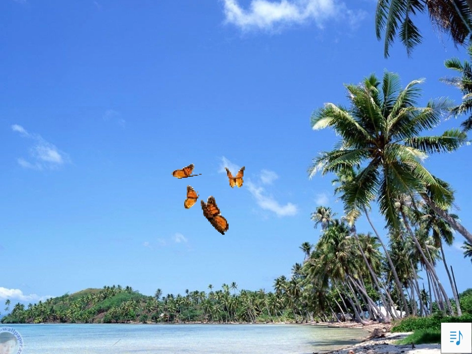 彩色的翅膀PPT课件_第1页