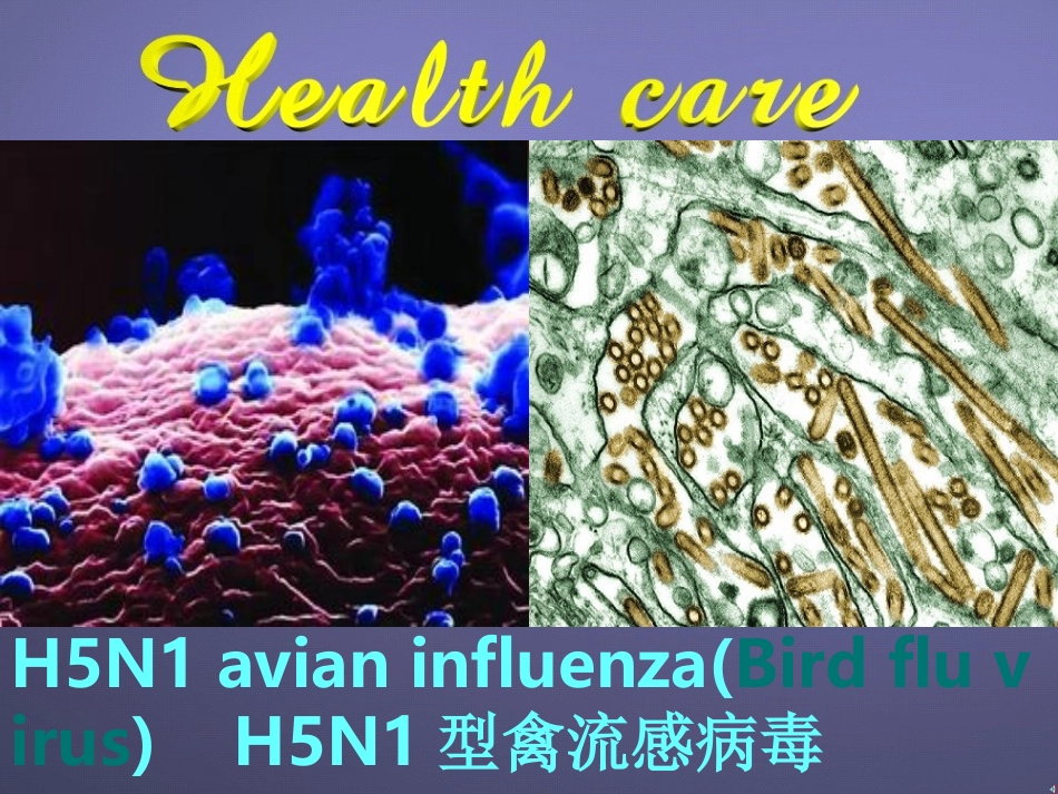 高中英语Unit 9 Health care课件_第2页