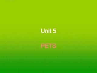 高中英语 Unit5 animal friends-language points课件 上海新世纪版 课件