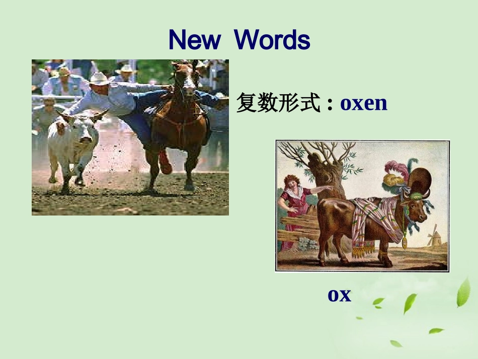 高中英语 Unit4 Using Language教学课件 新人教版必修7 课件_第2页