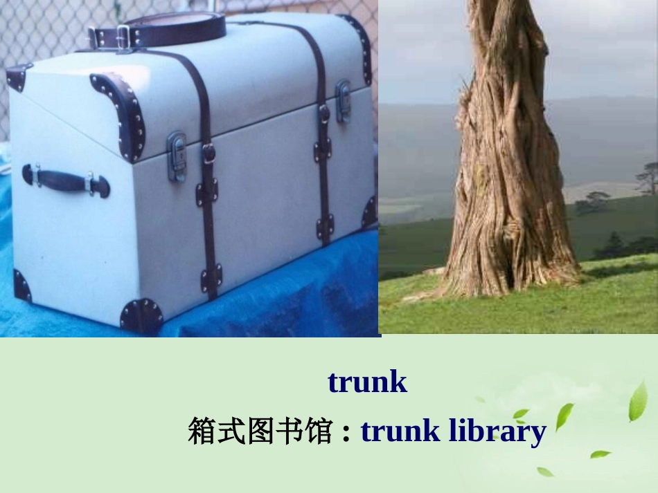 高中英语 Unit4 Using Language教学课件 新人教版必修7 课件_第3页