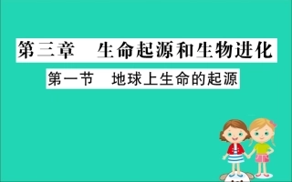 版八年级生物下册 第七单元 生物圈中生命的延续和发展 第三章 生命起源和生物进化 1 地球上生命的起源训练课件 (新版)新人教版 课件