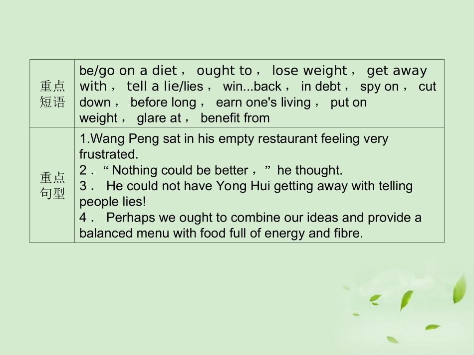 高考英语 Unit2知识与要点课件 新人教版必修3 课件_第3页